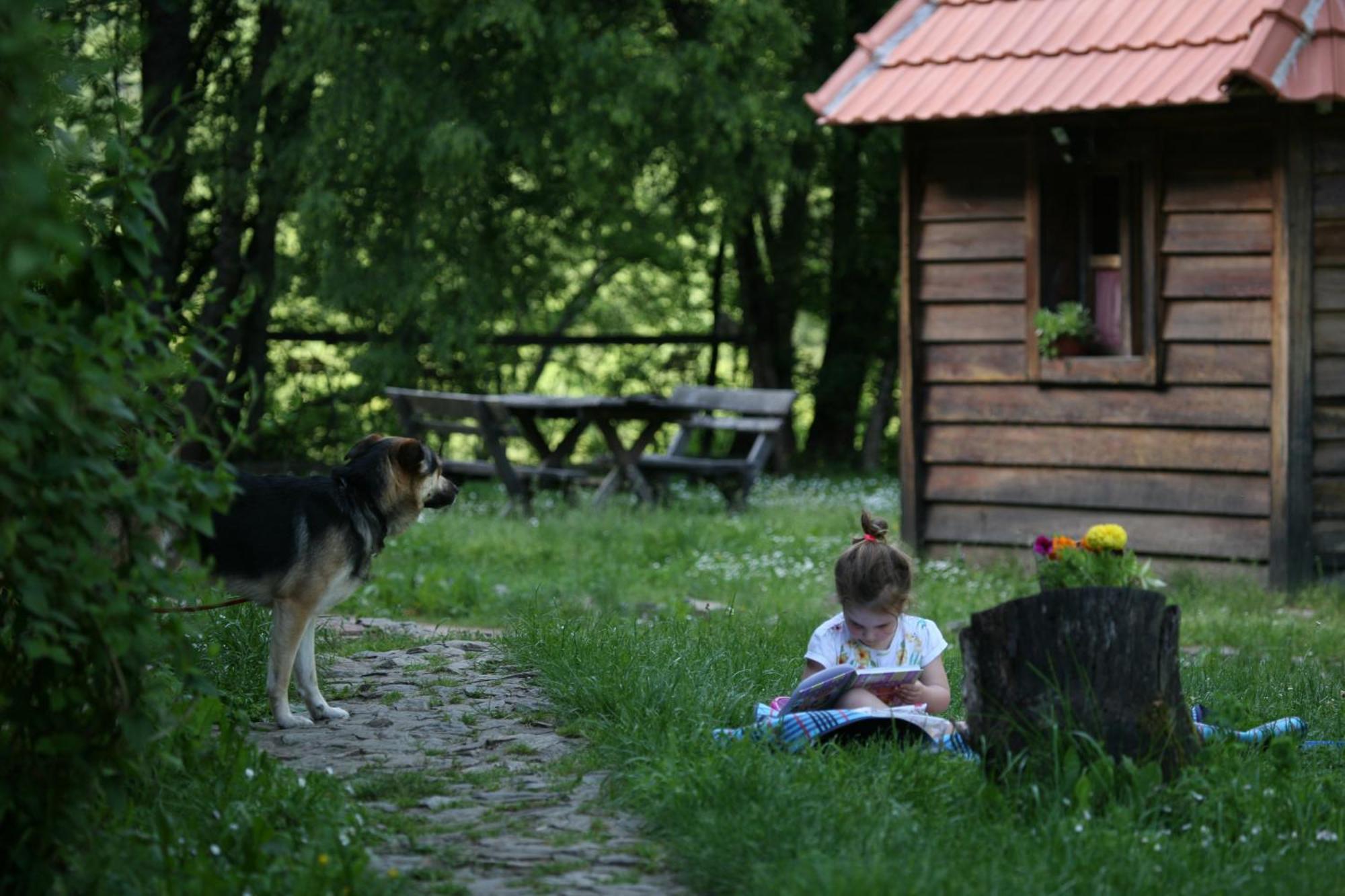 Grab Ethno Village And Camp Scepan-Polje Room photo
